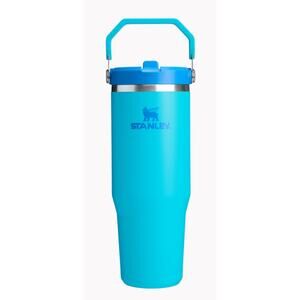 STANLEY The IceFlow™ Flip Straw Tumbler | 30 OZ | SPLASH